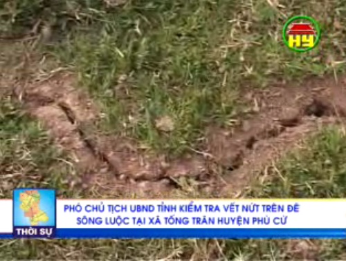 Xuất hiện vết nứt trên đê sông Luộc tại Hưng Yên